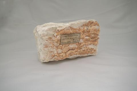 Minerale dal colore bianco e rosa chiaro