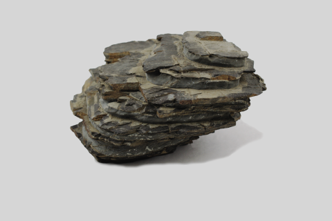 Alternanza di calcareniti e argille (GP-0110)