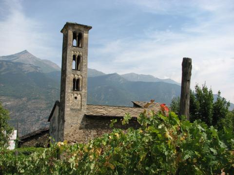 Vigneti a Susa