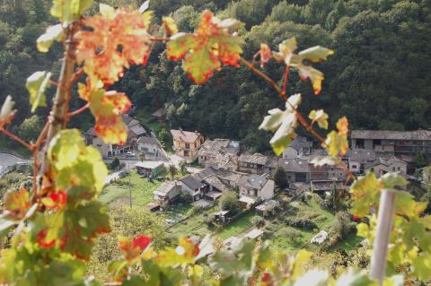 Il vigneto Ramìè di Pomaretto