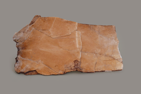 MUSCOVITE