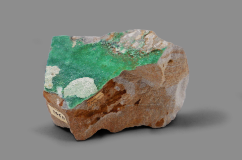 VARISCITE (MP-985)