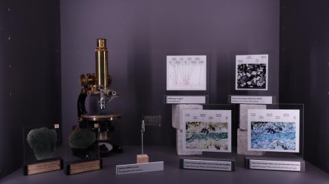 Microscopio e sezioni sottili