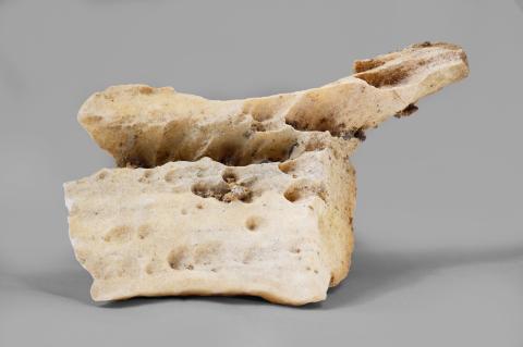 Dissoluzione carsica nel marmo (GP-0144)