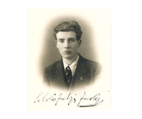 FABRIS FAVARO SILVIO