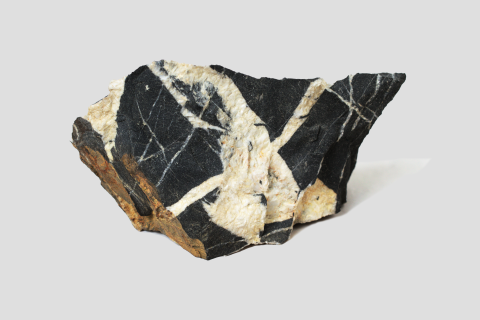 Litoclasi riempiti da calcite nel calcare (GP-0025)