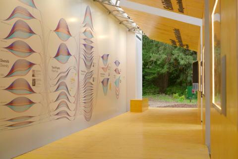 All'interno dell'installazione