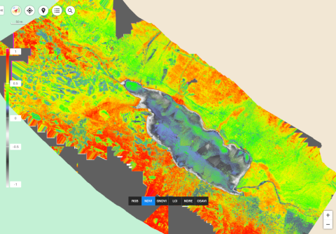 Ortofoto con indice spettrale NDVI