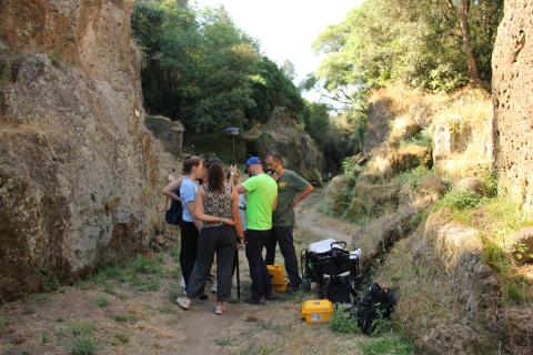 Students conducting field surveys