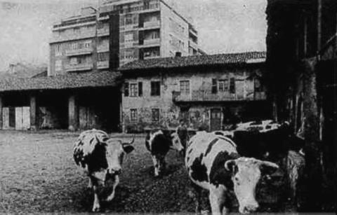 Cascina La Grangia