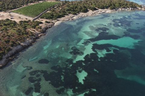 La linea di costa osservata dal drone
