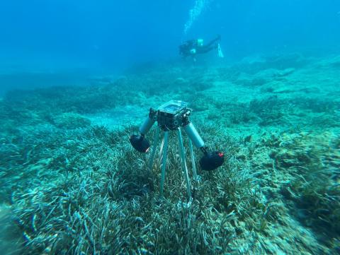 Acquisizioni iperspettrali sulle praterie di posidonia