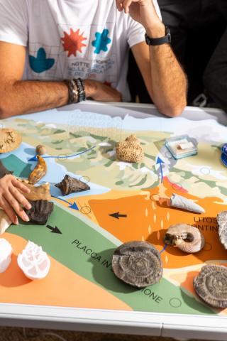 Il percorso della ricerca
