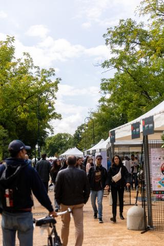 Esplorare la ricerca