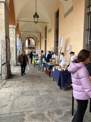 La Notte a Cuneo
