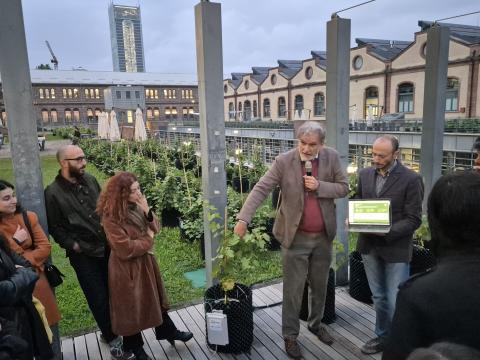 Scoprendo Campus Grapes 
