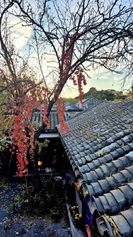 Forum dei Rettori Italia-Cina