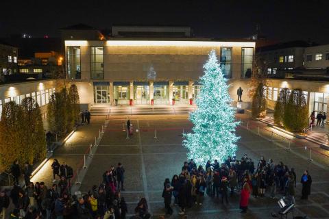 La comunità politecnica e la cittadinanza si sono riunite sotto l'albero al Campus Ingegnerie