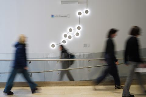 Costellazione Unite!