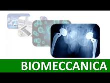 Biomeccanica