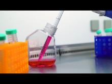 Spot Immatricolazioni 2026