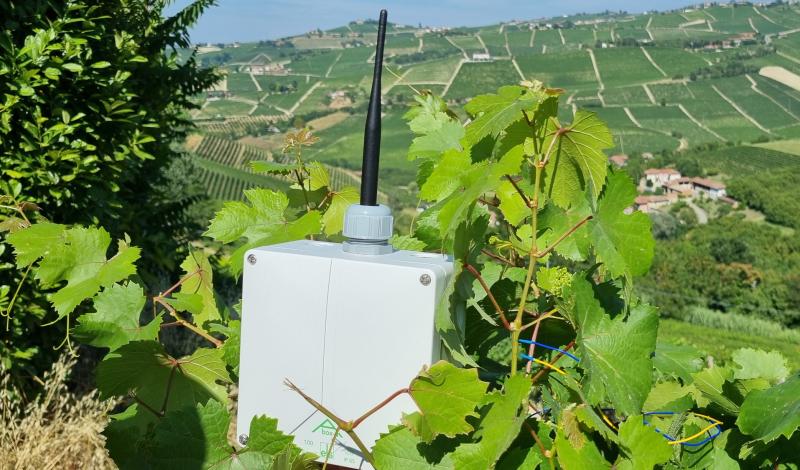 Premio America Innovazione PlantZCare.jpg