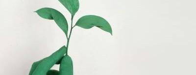 Teaser Industrial Chemistry for Circular and Bio Economy LM