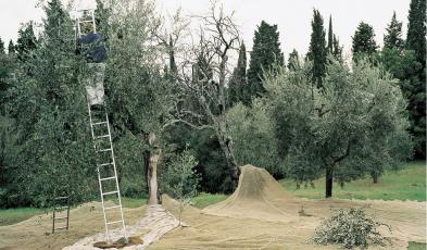 Seminario Filippi