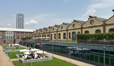 Politecnico di torino d'estate