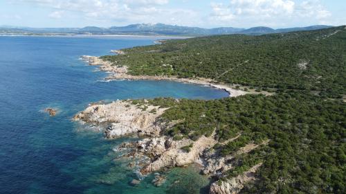 L'isola di Culuccia