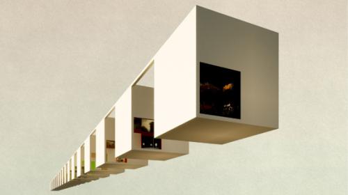 MUSEUM OF COLLECTING