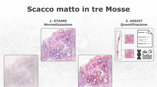 Le tecnologie sviluppate STAINS e ASSIST
