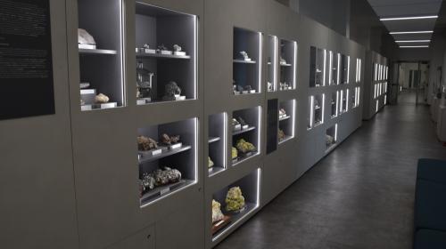 L'esposizione permanente all'interno dell'Ateneo