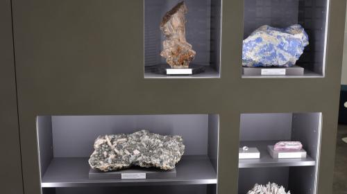 Dettaglio dell'esposizione