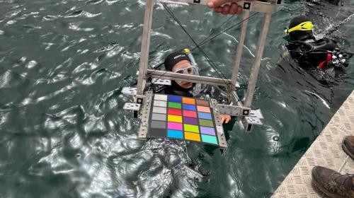 Preparazione all'analisi dei fondali marini