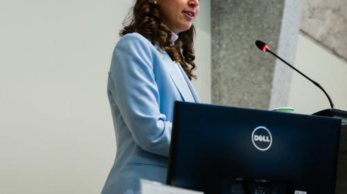 Roxana Nicoleta Berliger