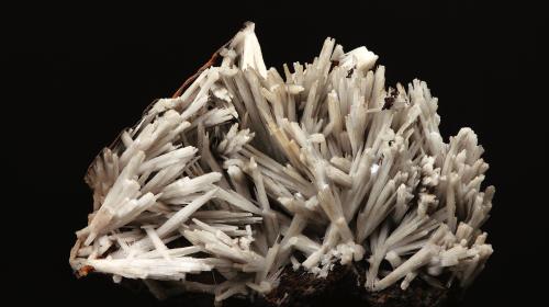 CERUSSITE su crosta limonitica (MP-10121)