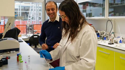 Laboratory activities