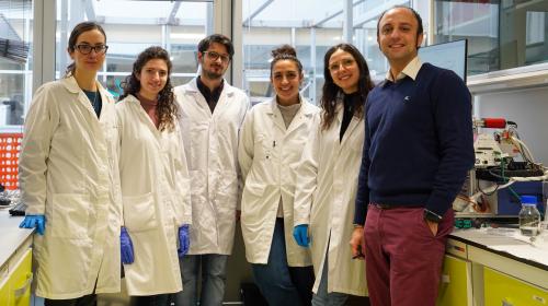 Federico Bella and his research team