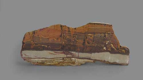 CALCARE marnoso (pietra paesina) (MP-10337)