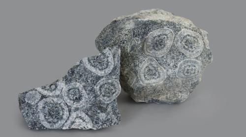DIORITE ORBICOLARE (GP-0036)