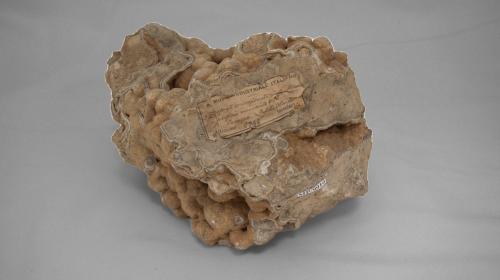 Roccia dalle sfumature rosa pallido
