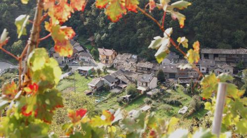 Il vigneto Ramìè di Pomaretto