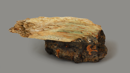 ANTIGORITE 