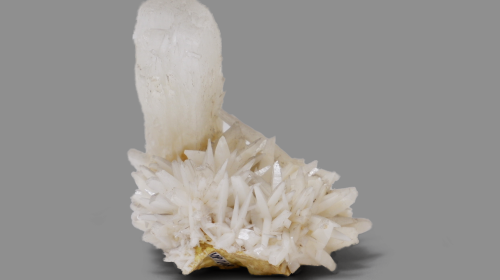 CELESTINA (MP-1048)