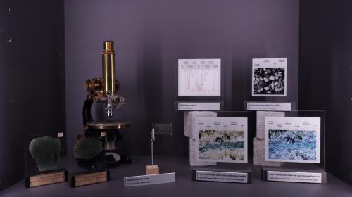 Microscopio e sezioni sottili