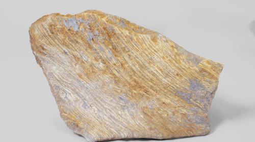 Calcare in facies di flysch (Eocene) (GP-0003)
