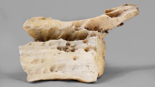 Dissoluzione carsica nel marmo (GP-0144)