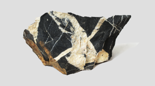 Litoclasi riempiti da calcite nel calcare (GP-0025)
