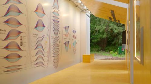 All'interno dell'installazione